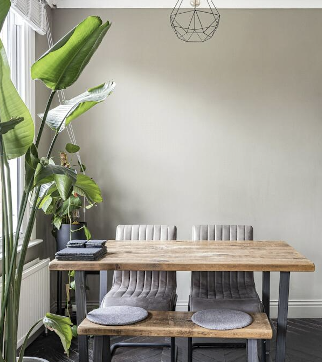 East Finchley Whole-Home Renovation